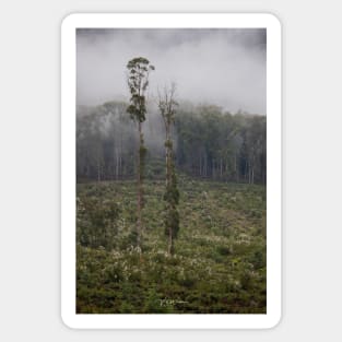 Cathedral Range, Taggerty, Victoria, Australia. Sticker